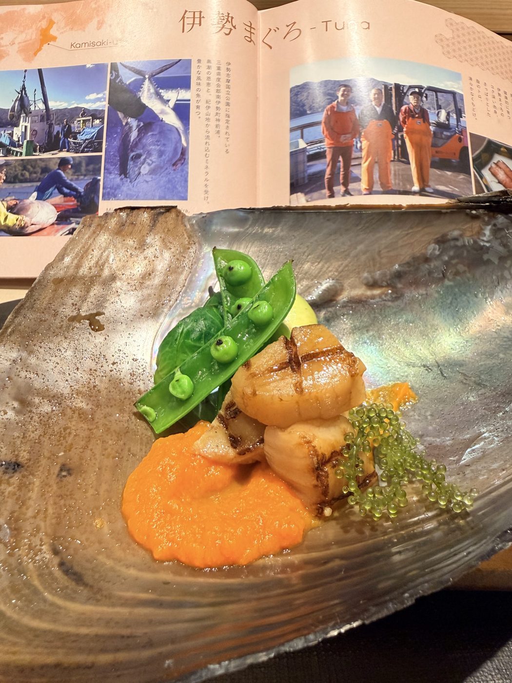 Seared scallops, snow peas, orange puree and sea grapes on an abalone shell