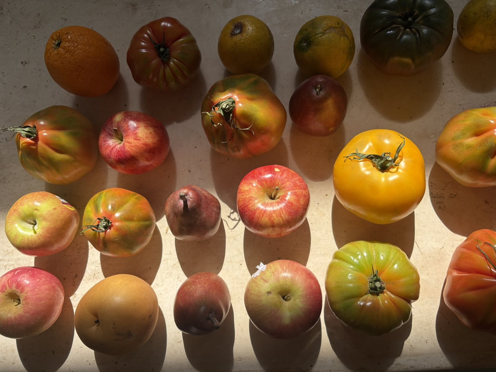 Heirloom tomatoes and fruit laid out from the market