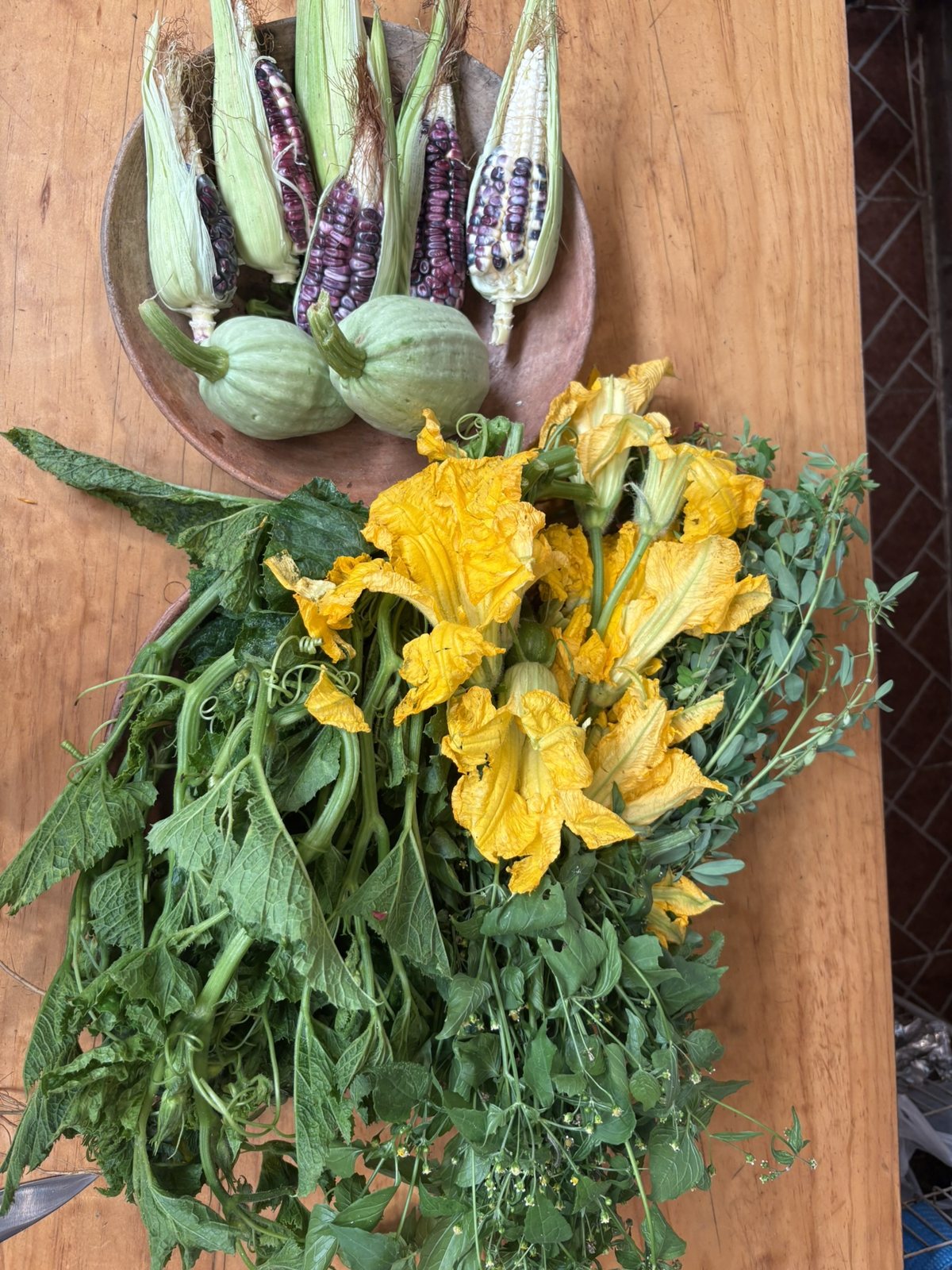 Squash blossoms, greens and heirloom corn
