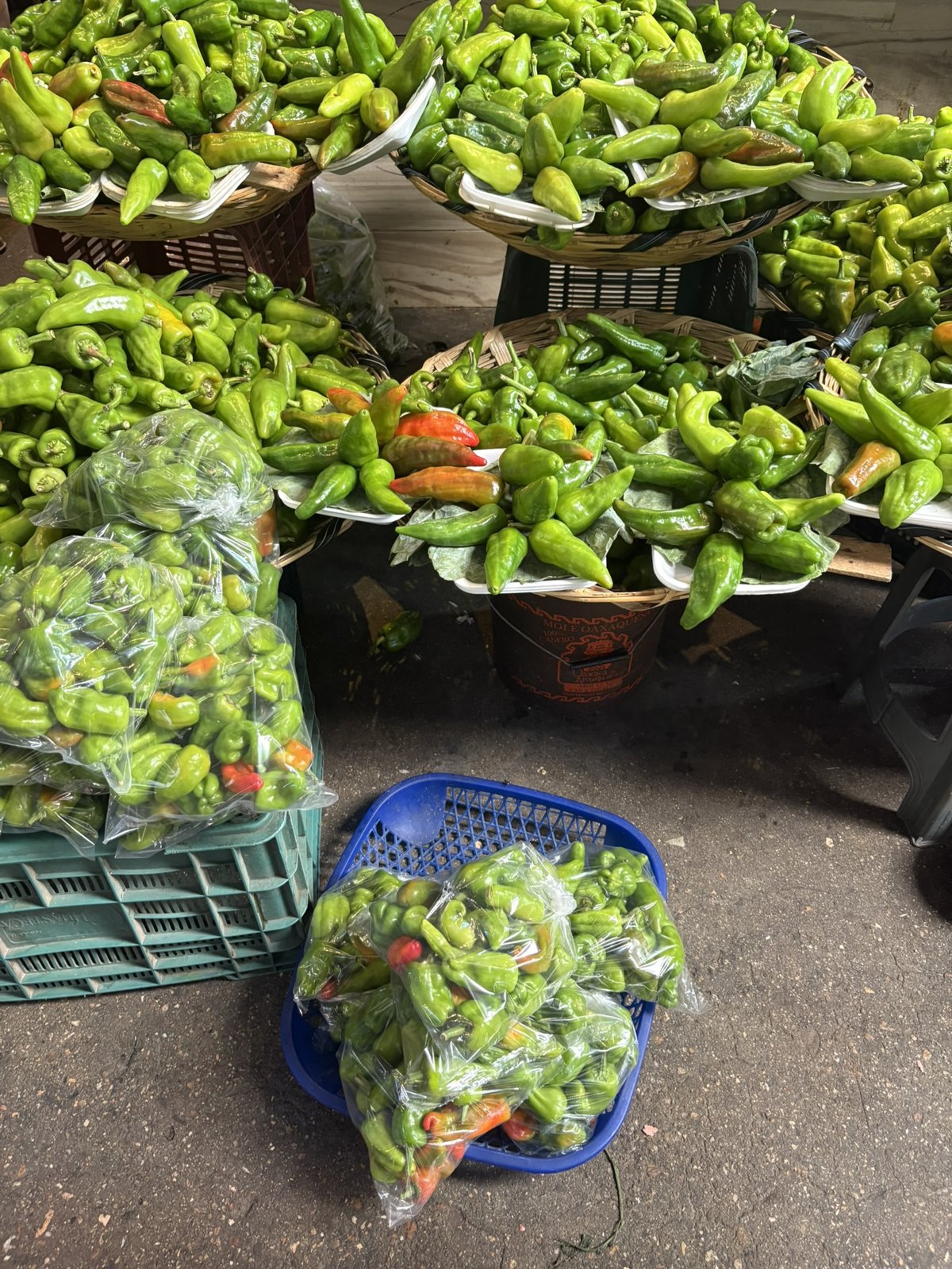 The chile market in Oaxaca