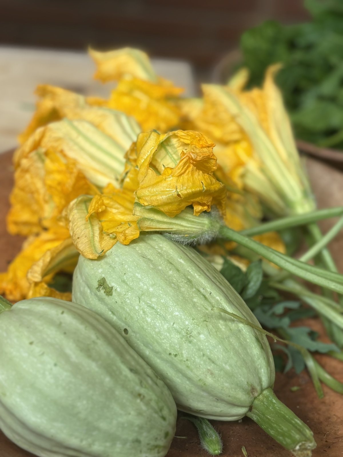 Squash blossoms and heirloom squash