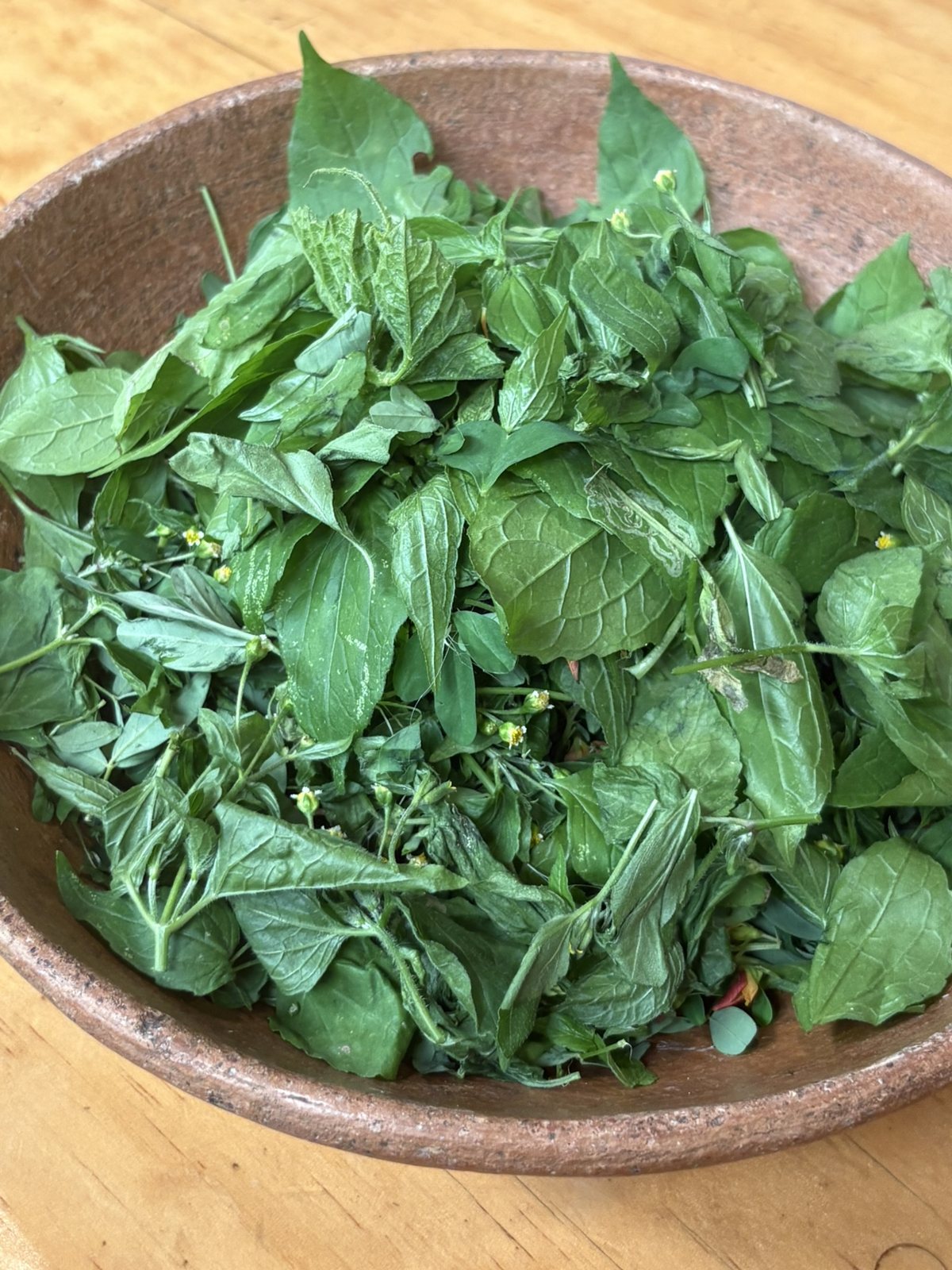 Squash blossoms, greens and heirloom corn