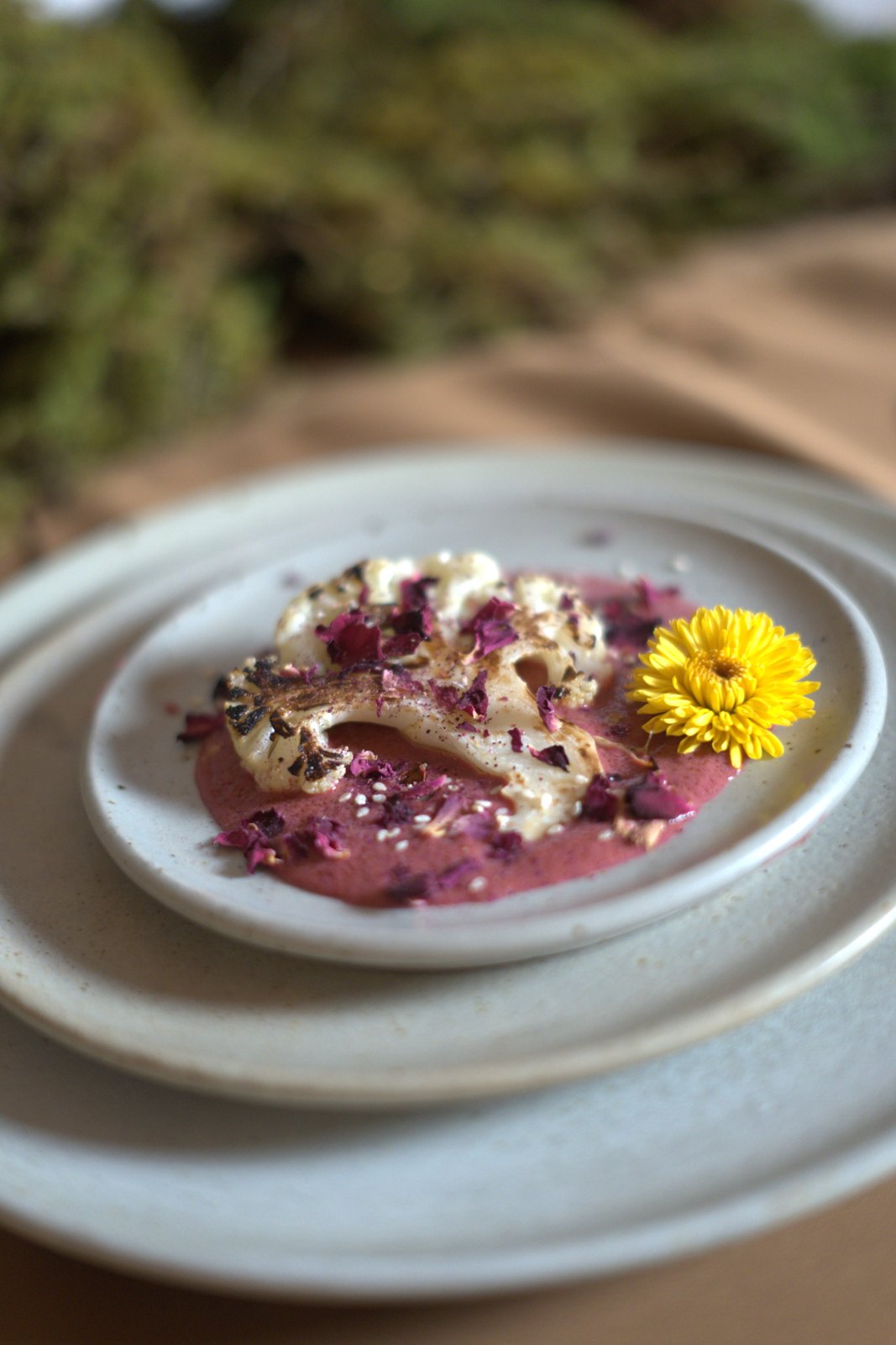 A plate with the yellow flower
