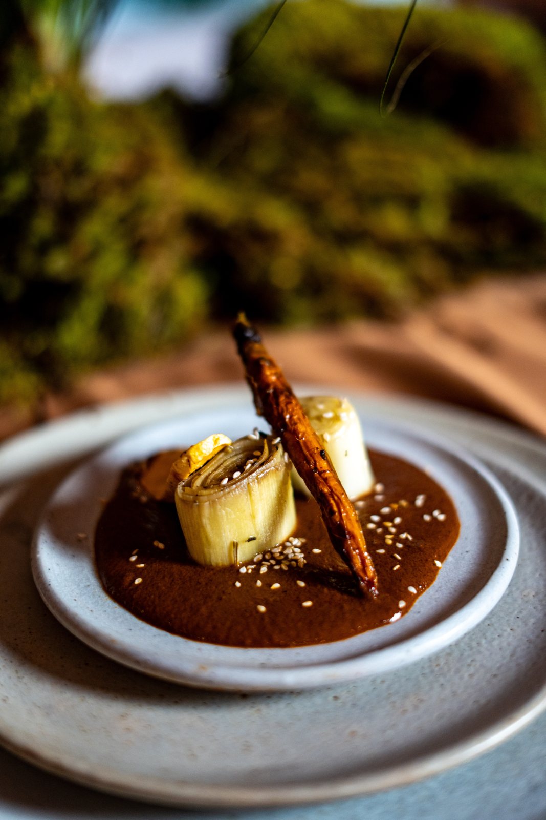 Mole and the clear broth at the Posada