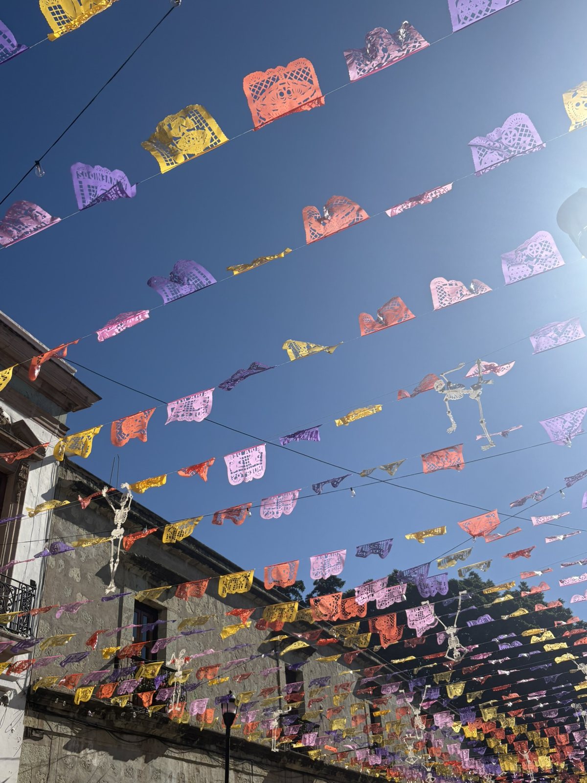 The Oaxaca market